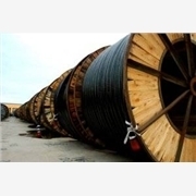 北京东照百恒线缆销售 特种电缆领域的专业服务商